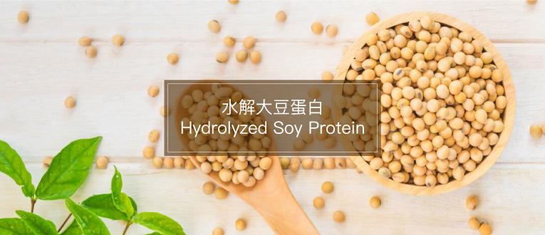 水解大豆蛋白 Hydrolyzed Soy Protein