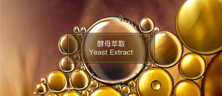 酵母萃取 Yeast Extract